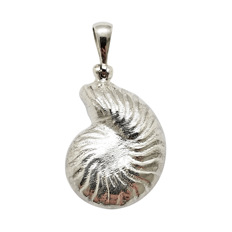 Thumbnail: Ammonite Ammolite Pendant in 925 Sterling Silver