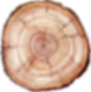 Tree Trunk