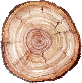 Tree Trunk