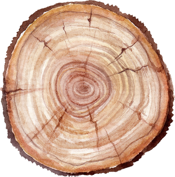 Tree Trunk