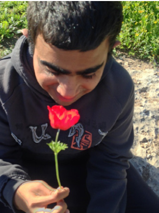 Screen Shot 2021-07-13 at 16.24.36.png