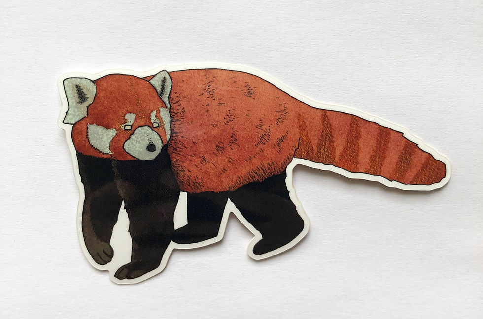 Thumbnail: Red Panda Vinyl Sticker