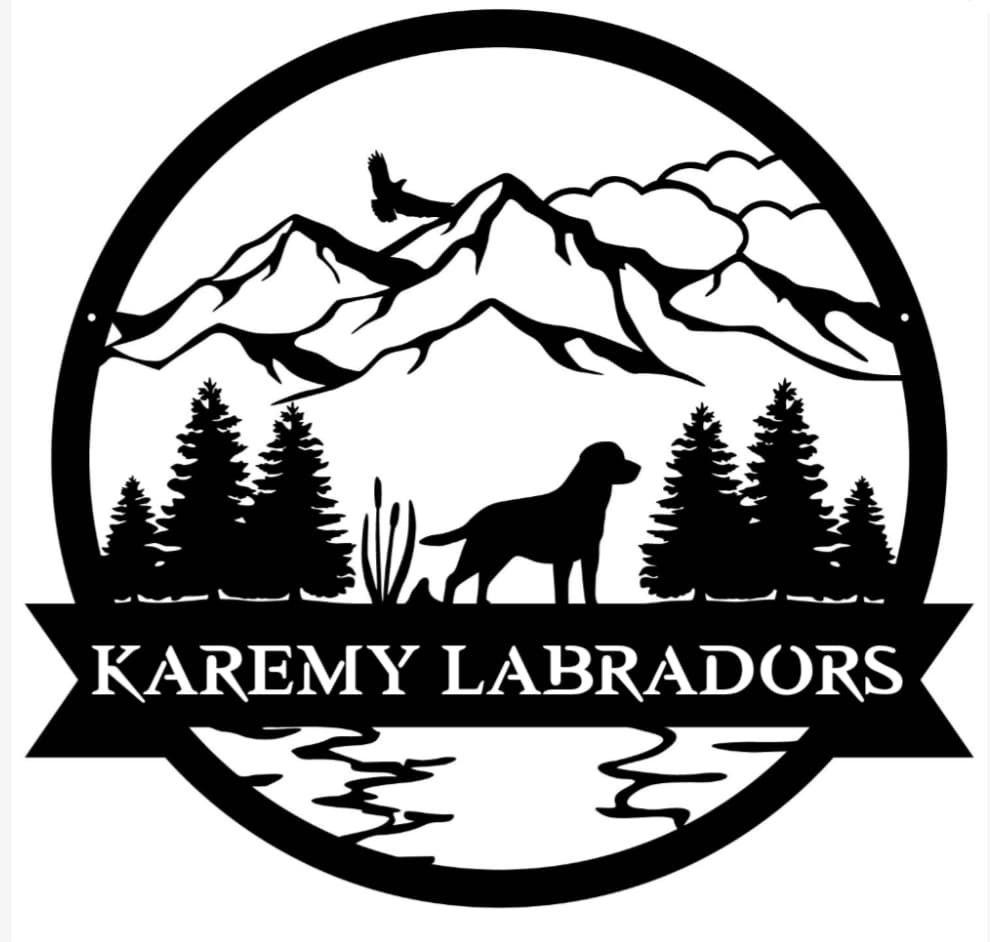 NW Arkansas Karemy Labradors