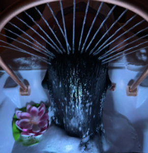 Pic_2.png