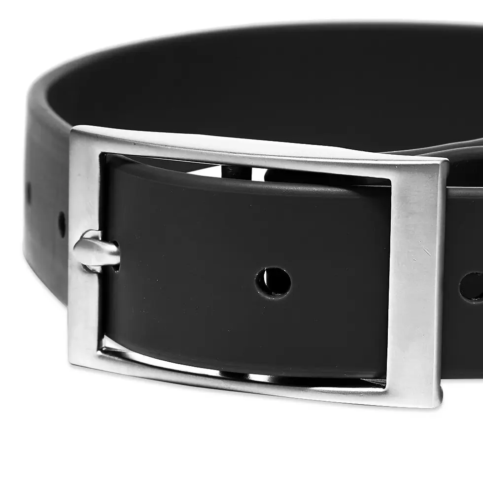 Thumbnail: Pawlette Black PVC Collar