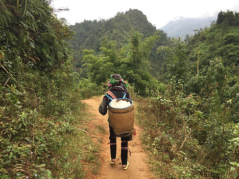 Trekking behind a local indiginous tribeswoman in Sapa, Vietnam