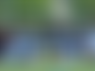 2023年度 第96回日本整形外科学会親善サッカー大会inYokohama 優勝!