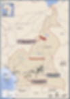 Figure 10: Cameroon (source: PUA) | Samso Insights