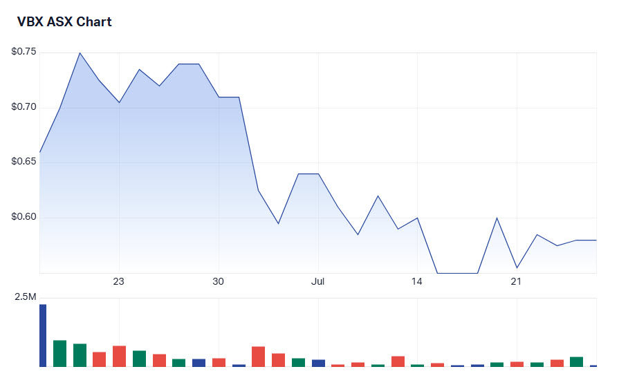 Figure 17: The share price chart for VBX Limited as of 25th July 2025. (source: Market Index). | Samso Insights