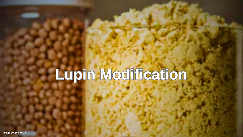 Wide Open Agriculture Validates Scalable Lupin Protein Manufacturing Process | Samso News
