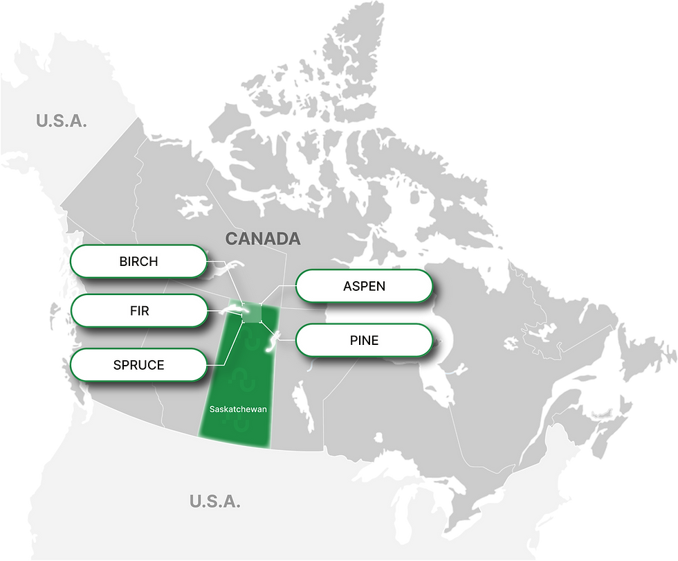 Figure 4: Neu Horizon's Swedish Projects (Source: Company Website)