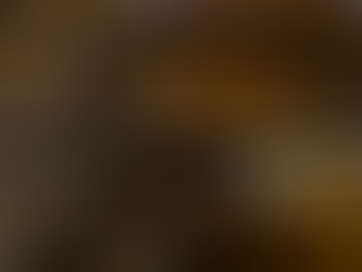 Tarrina Resources Advances Christmas Gift Gold Project Following ASX Reinstatement | Samso News