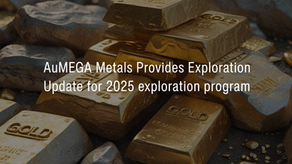 AuMEGA Metals Ltd (ASX: AAM) Exploration Update – July 2025 Unlocking Discovery Potential Across Cape Ray, Bunker Hill and Hermitage | Samso News