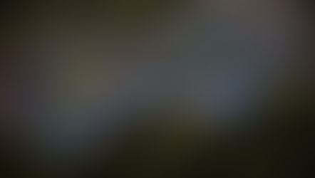 AuMEGA Metals – Structural Clarity at Bunker Hill Sharpens Gold and Polymetallic Targeting – A Definite #SamsoDYOR for Understanding Where Exploration Conviction Is Building | Samso News