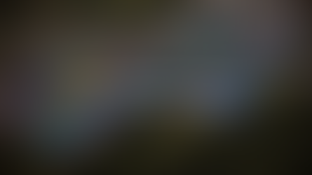 AuMEGA Metals – Structural Clarity at Bunker Hill Sharpens Gold and Polymetallic Targeting – A Definite #SamsoDYOR for Understanding Where Exploration Conviction Is Building | Samso News