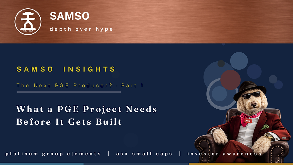 What a PGE Project Needs Before It Gets Built