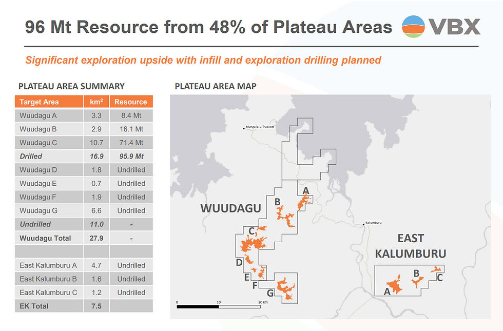 Figure 18: The total resource that is currently in the VBX portfolio at the IPO stage (source: VBX Limited). | Samso Insights