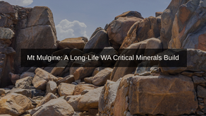 Mt Mulgine Scoping Study Demonstrates Globally Significant Critical Minerals Project | Samso News