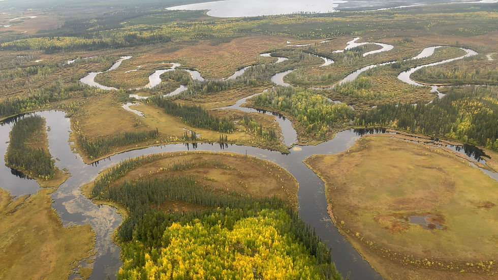 Figure 6: Image of an optioned project package known as “The Woods.” (Source: Company Website)