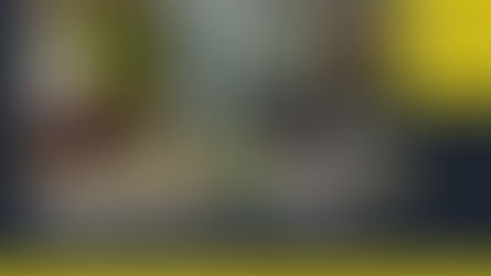 Red Dirt Metals Limited (ASX:RDT) - The Making of a Major Australian Lithium Mining Player.