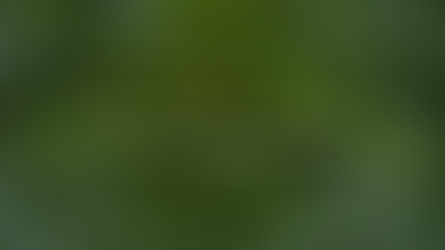 First Lupin Protein Order Marks WOA’s Entry into China’s Growing Plant-Based Market | Samso News