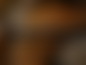 Durack Project Update – High-Grade Monazite-Hosted Rare Earth Elements in Western Australia | Samso News