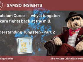 The Calcium Curse — why a tungsten skarn fights back at the mill