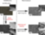 The effect of Sc addition on the microstructure and mechanical properties of a high-Zn-concentration Al (Al–49Zn) alloy. (source: Science Direct)