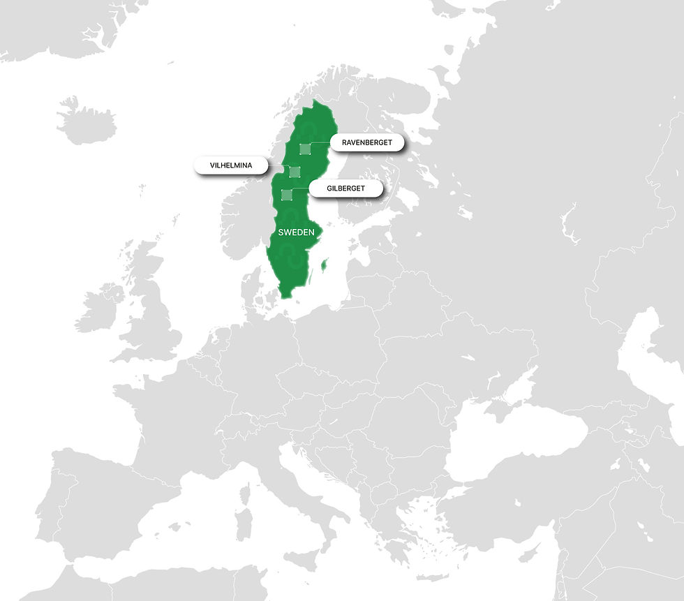 Figure 3: Neu Horizon's Swedish Projects (Source: Company Website)