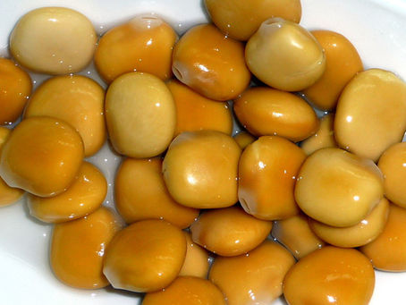 A Defining Crop: The Quiet Rise of Lupins in Global Agriculture | Samso Insights