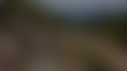 Samso News: South Harz Potash Limited — New Cu-Au Zone Identified at 304.0 South Harz Potash Limited | Samso News