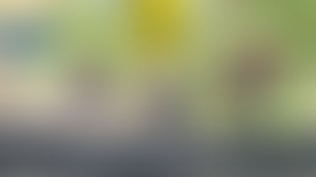 Julimar's Twin Brother - The Thor Project