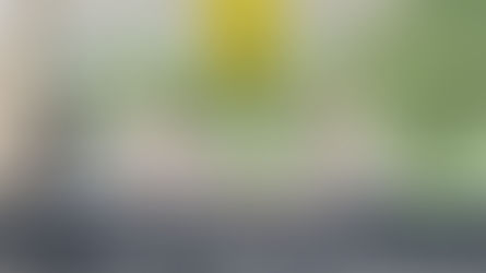 The Risk - Reward Myth of Mineral Exploration: Jon Hronsky