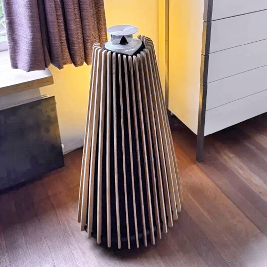 BeoLab 20 ek träkåpa