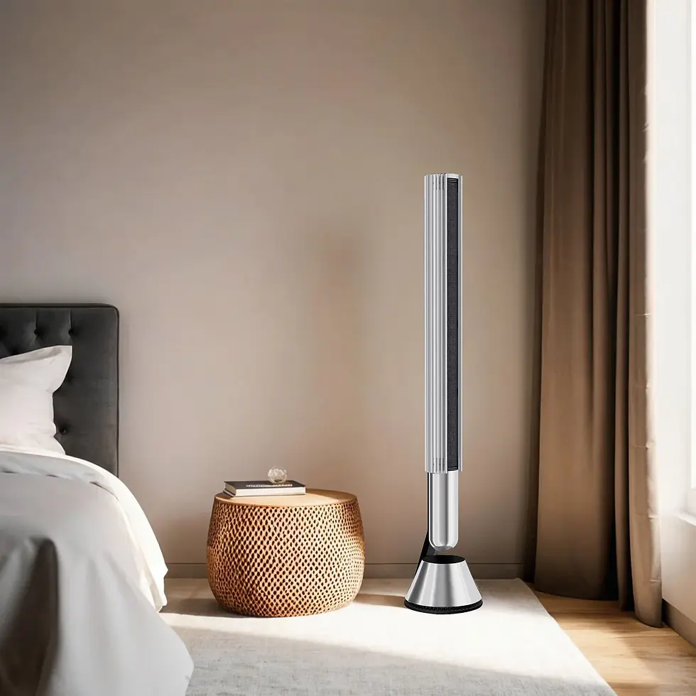 Miniatyrbild: BeoLab 28 Matt Silver Aluminiumhölje