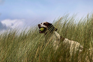 Playing Catch