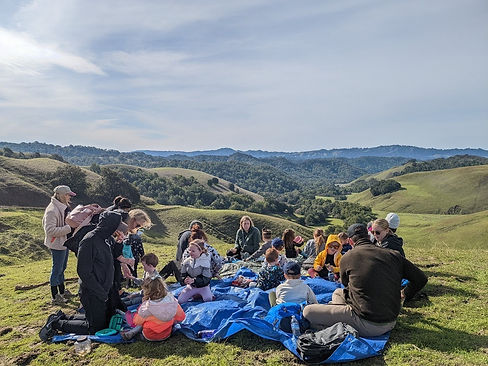 Image of families sitting on a blue tarp among green rolling hills near Danville and Alamo, California.