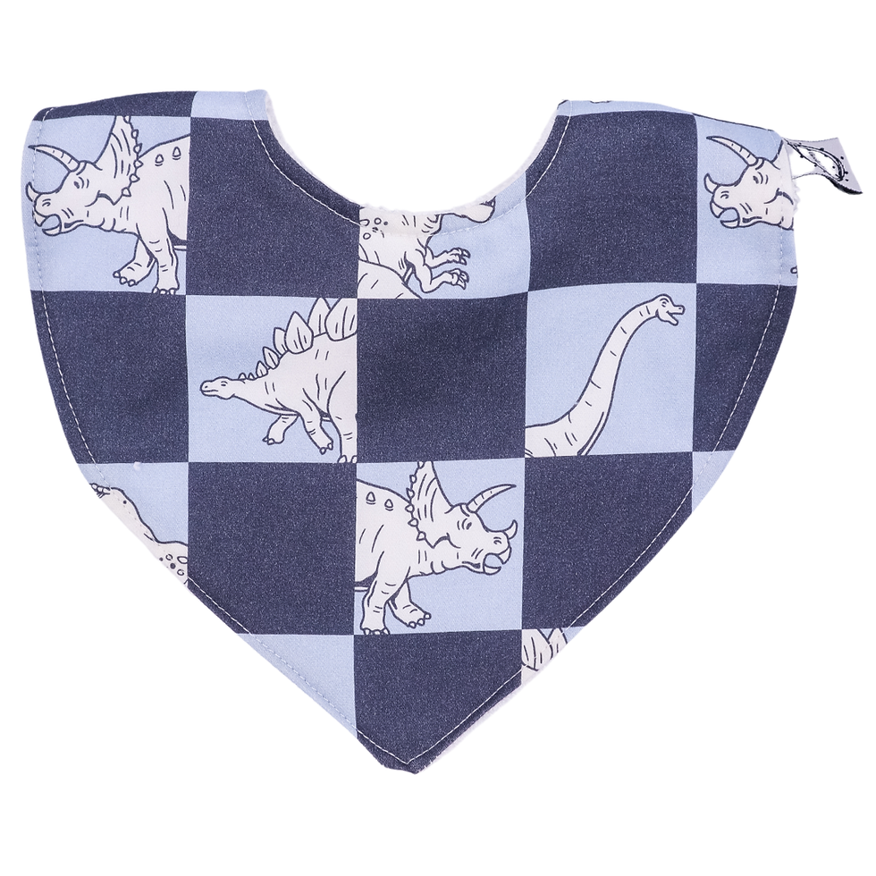 Dino Check Dribble bib