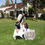 Thumbnail: Chair Massage (1) hour Minimum In Intervals of 10min, 15min, 20min or 30mins