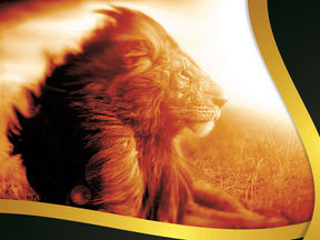 De Brito Advocacia Logo