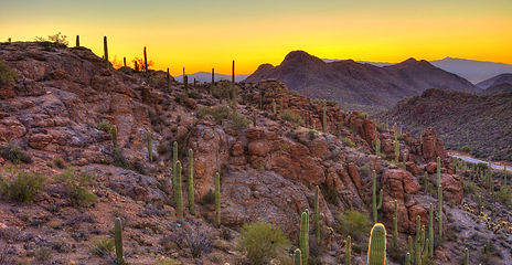 SCOTTSDALE, ARIZONA, USA