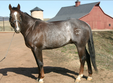 Screen Shot 2022-02-02 at 8.21.08 AM.png