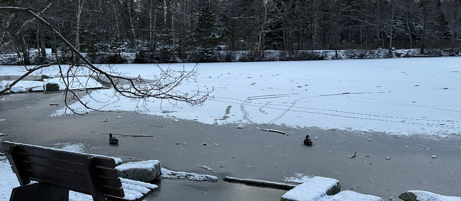 Best Halifax trails in the winter