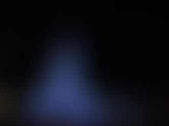 Have fun at a Disney park