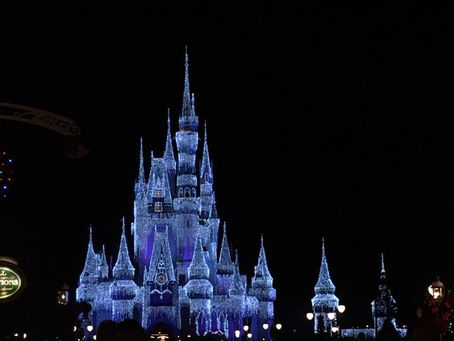 Have fun at a Disney park