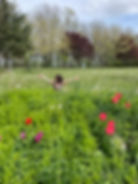 5561421B-CBDC-4A1A-907C-6027F01B505F.jpeg