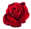 Rose 2.PNG