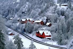 Trem Oslo Bergen4