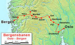 Trem Oslo Bergen2