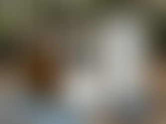 Do Sheds Need Airflow Underneath?